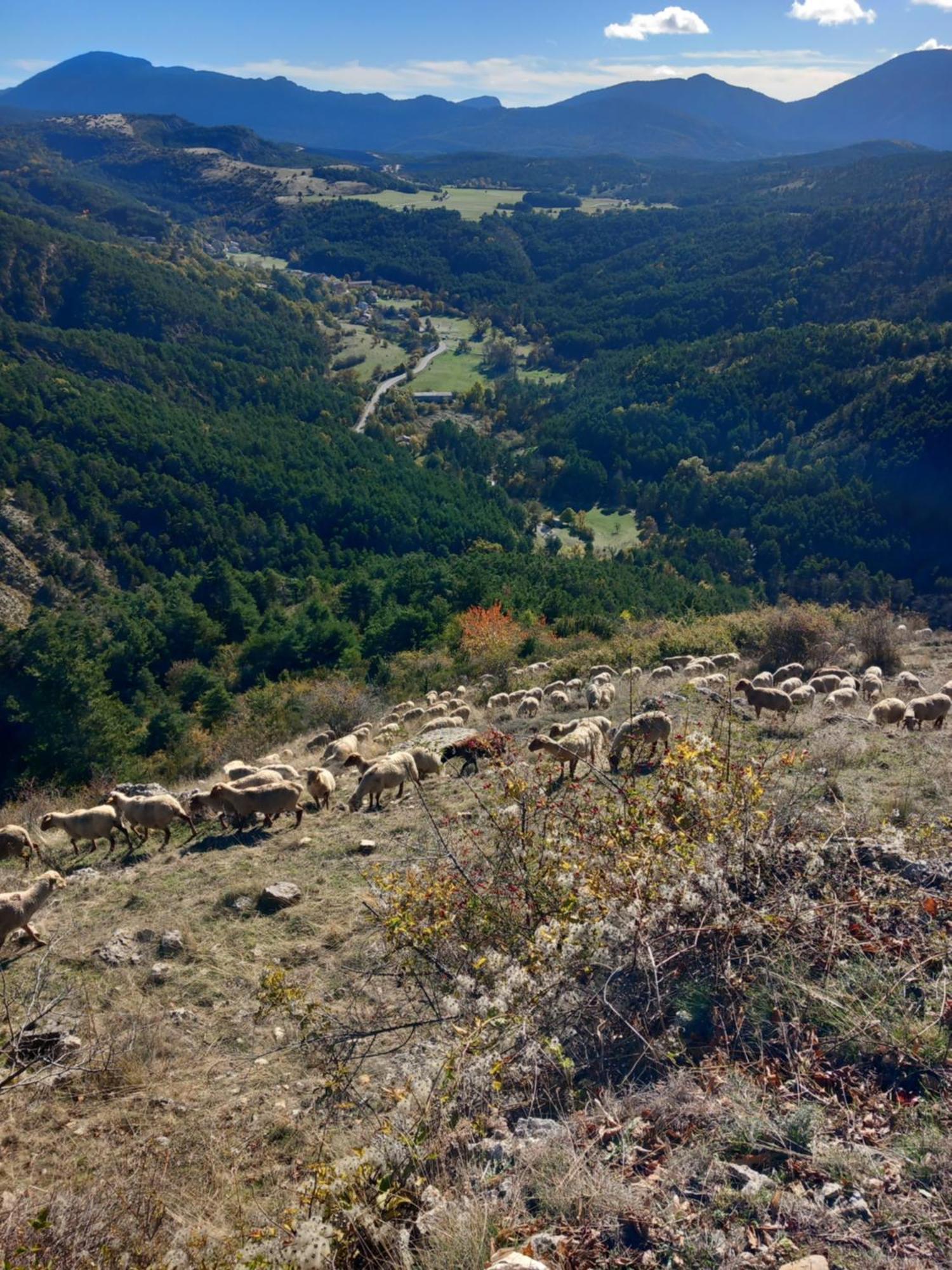 Gite La Mountagna Peyroules Exterior photo