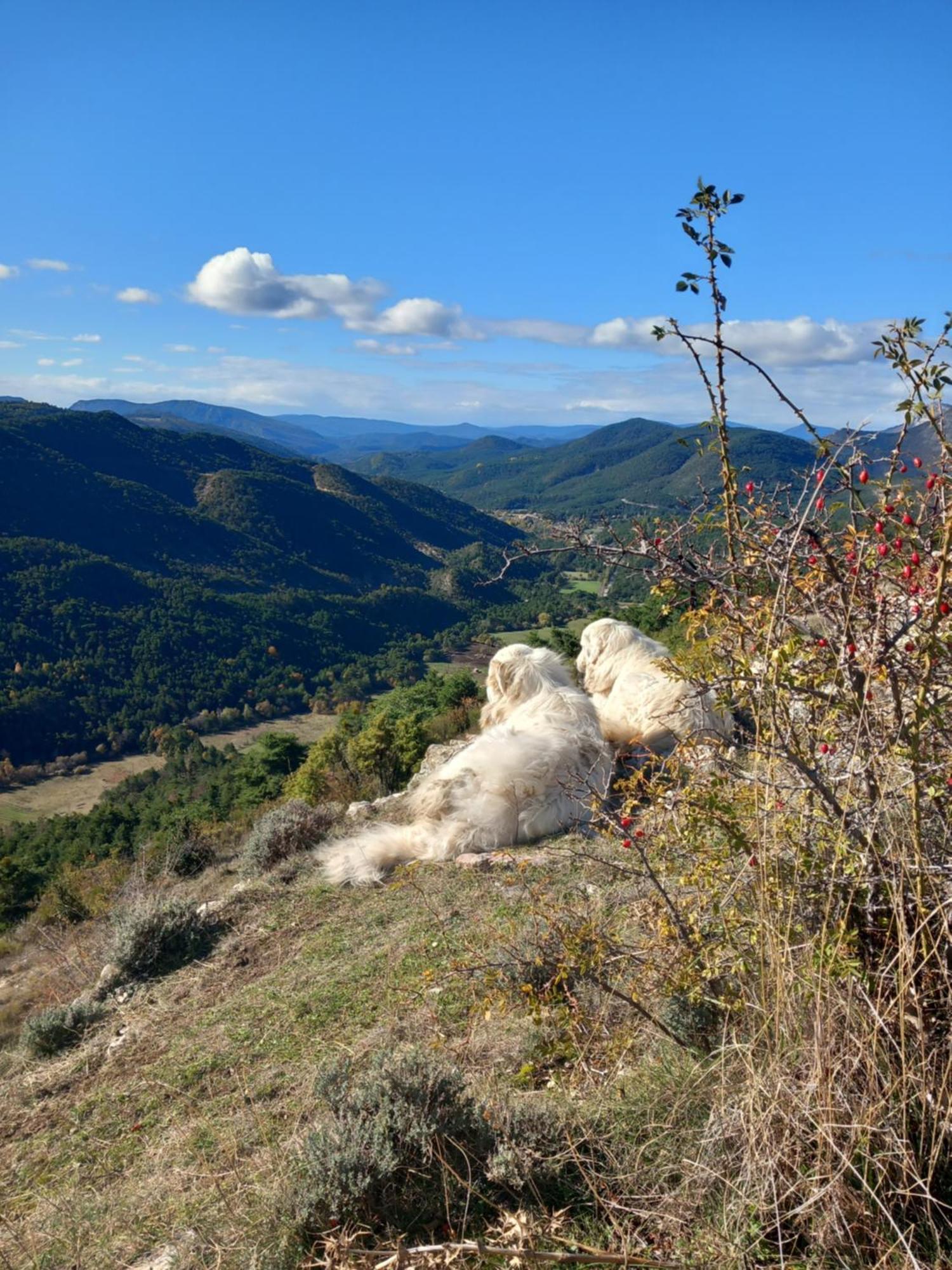 Gite La Mountagna Peyroules Exterior photo